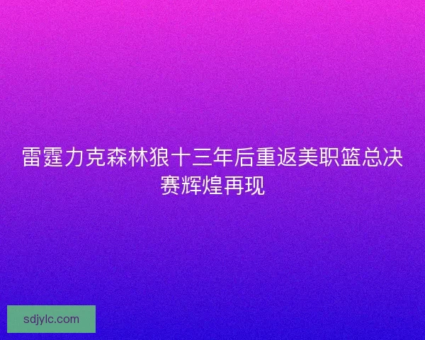 雷霆力克森林狼十三年后重返美职篮总决赛辉煌再现