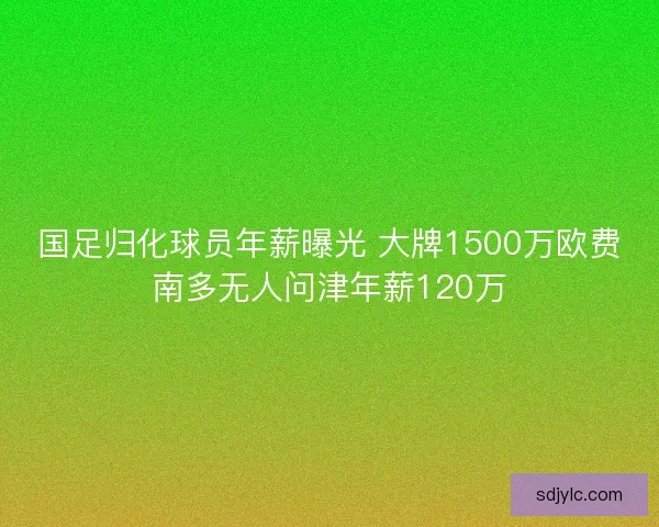 国足归化球员年薪曝光 大牌1500万欧费南多无人问津年薪120万